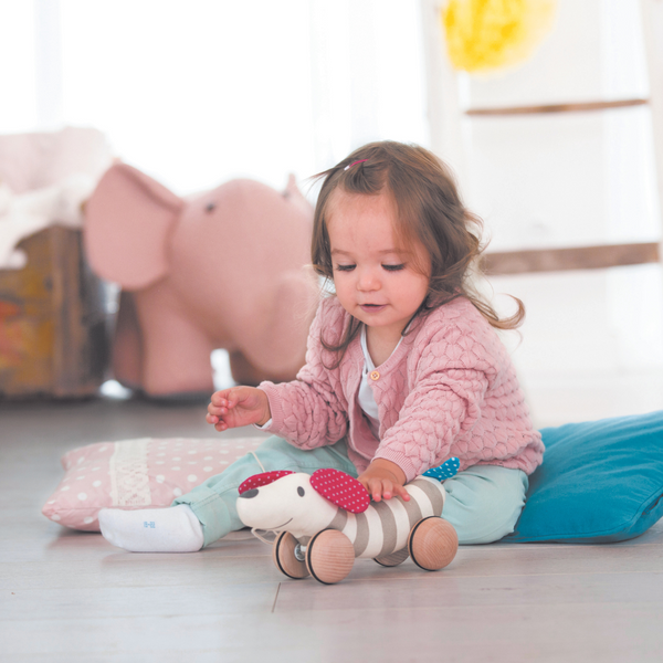Pull Along Dog CHEZA PLUS, pull toy, wooden toy, hape toys in kenya, pull puppy, toys for 12 months kids, toddler toys, push and pull toys