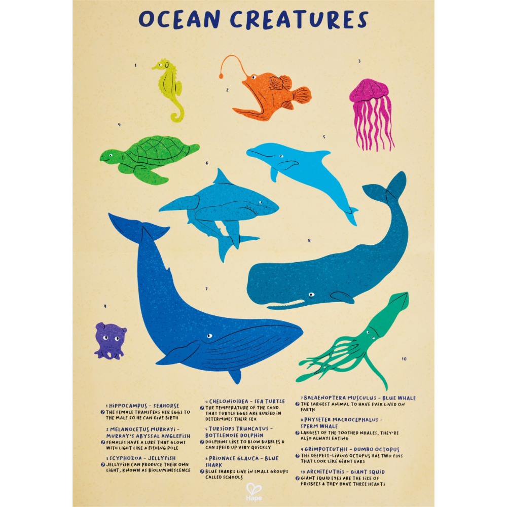 Hape Whale Shimmer Floor Puzzle - educational puzzle for ages 8 Years + CHEZA PLUS
