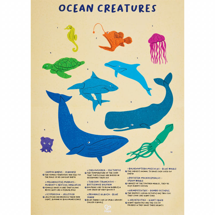Hape Whale Shimmer Floor Puzzle - educational puzzle for ages 8 Years + CHEZA PLUS