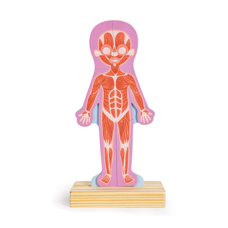 human body magnetic puzzle, wooden toys, educational toys kenya, puzzles for 3 years, puzzle for kids, hape toys, human body parts game for kids