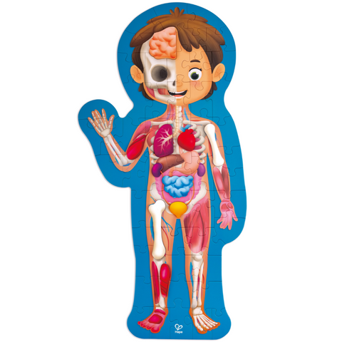 Human Body Puzzle Hape
